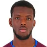 Y. Nahounou