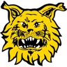Ilves-Kissat juniorit