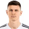 R. Veselinović