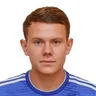 R. Minaev