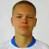 E. Ibragimov