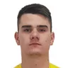 M. Topić