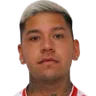 H. Ibarra