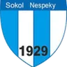 Sokol Nespeky