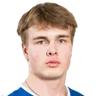 V. Karttunen