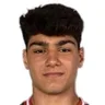 V. Harutyunyan