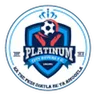 Platinum City Rovers