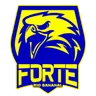 Forte FC