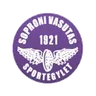 Soproni VSE