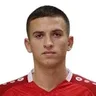 M. Ștefan
