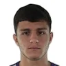 D. Harutyunyan