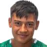 Á. Almada