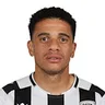 Taison