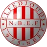 Nasr El Fedjoudj