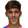 Harrison Wood