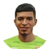 A. Abdelkader