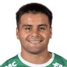 Y. Arismendi