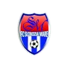 Slobozia Mare