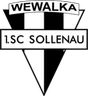 Sollenau