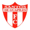 Santos DE Guapiles