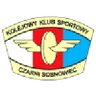 Czarni Sosnowiec W