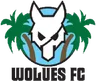 Wolues FC