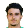 F. Bayram