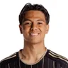 A. Wibowo