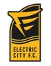 Electric City Shock