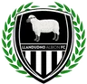 Llandudno Albion