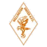 Wellington United