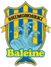 Baleine Shimonoseki