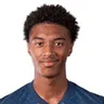 N. Kamara