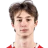 N. Grankin
