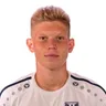 M. Rybalko