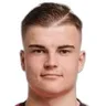 D. Lesnyak