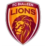 Bulleen Lions
