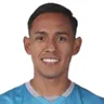 R. Vargas