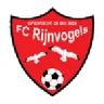 Rijnvogels