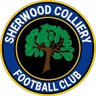 Sherwood Colliery