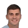 N. Mandić