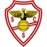 Salgueiros