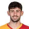 Y. Demir