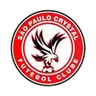 São Paulo Crystal FC
