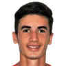 F. Doğan