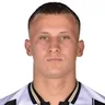 D. Pejičić