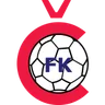 Čelik