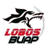Lobos Buap