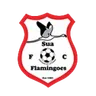 Sua Flamingoes