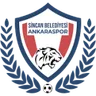 Ankaraspor
